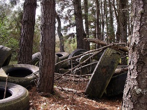 изношенные автомобильные покрышки загрязняют окружающую среду